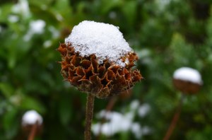 2016 01 17_7802_edited-1