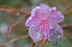 2016 01 17_7818_edited-1