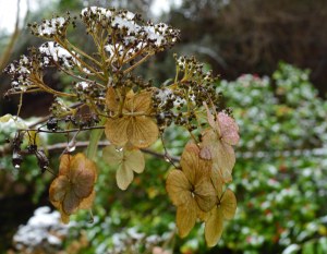 2016 01 17_7826_edited-1