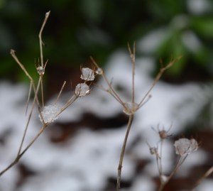 2016 01 17_7831_edited-1