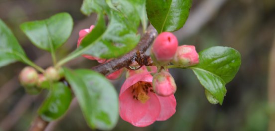 2016 01 17_7881_edited-1