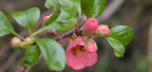 2016 01 17_7881_edited-1