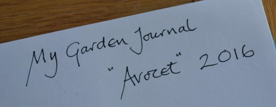 2016 02 02_8154_edited-1