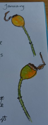 2016 02 02_8157_edited-1