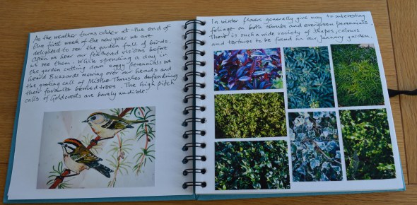 2016 02 02_8158_edited-1