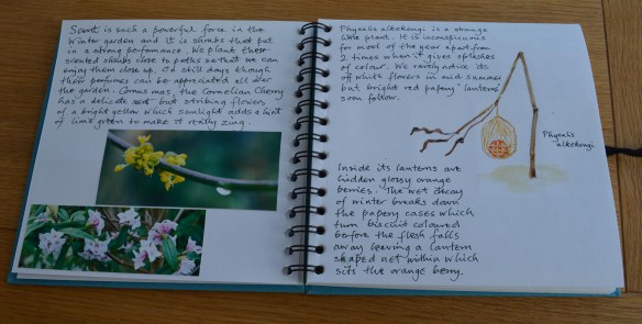 2016 02 02_8159_edited-1