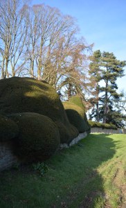 2016 02 15_8843_edited-1