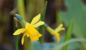 2016 02 18_8854_edited-1