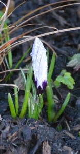 2016 02 18_8863_edited-1