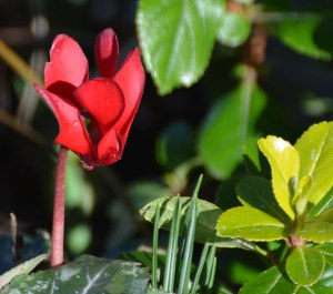 2016 02 18_8867_edited-1