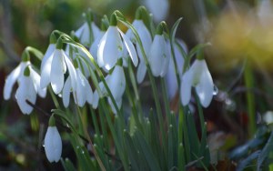 2016 02 18_8869_edited-1