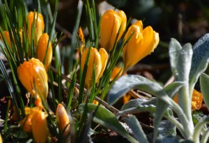 2016 02 18_8871_edited-1