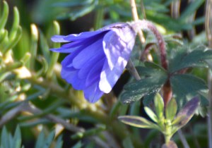 2016 02 18_8872_edited-1