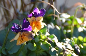 2016 02 18_8879_edited-1