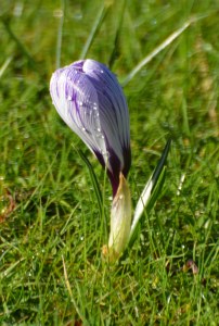 2016 02 18_8887_edited-1