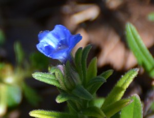 2016 02 18_8891_edited-1