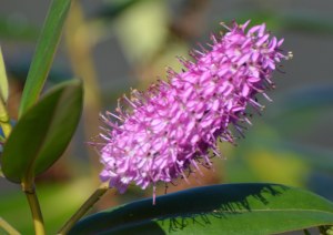 2016 02 18_8904_edited-1