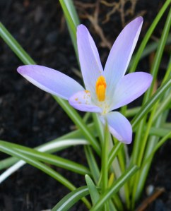 2016 02 18_8913_edited-1