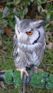 2016 02 21_8935_edited-1