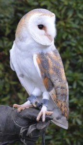 2016 02 21_8939_edited-1