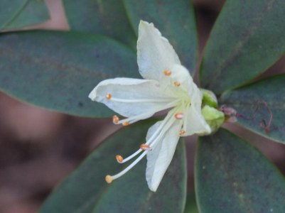 2016 02 21_8952_edited-1