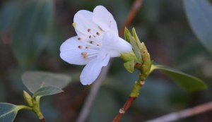 2016 02 21_8953_edited-1