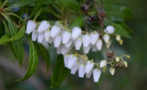 2016 02 21_8957_edited-1