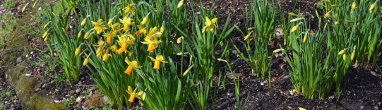 2016 02 21_8975_edited-1