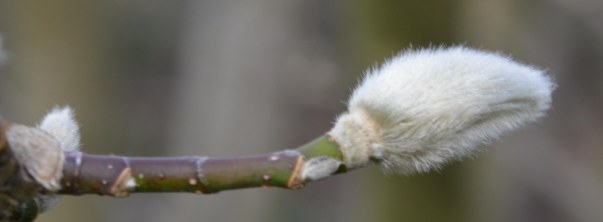 2016 02 21_9026_edited-1