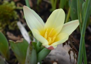 2016 02 21_9036_edited-1