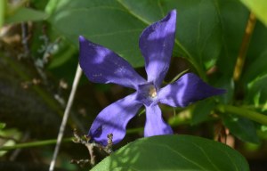 2016 02 21_9042_edited-1