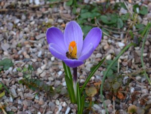 2016 02 21_9046_edited-1