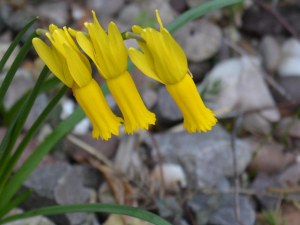 2016 02 21_9049_edited-1