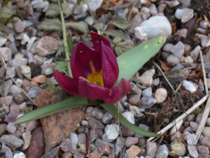 2016 02 21_9051_edited-1