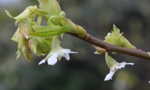 2016 02 21_9055_edited-1