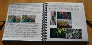 2016 02 24_9069_edited-1