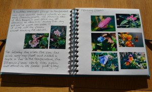 2016 02 24_9070_edited-1