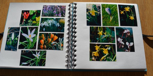 2016 02 24_9073_edited-1