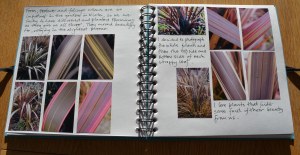 2016 02 24_9074_edited-1