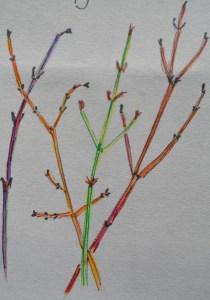 2016 02 24_9078_edited-1