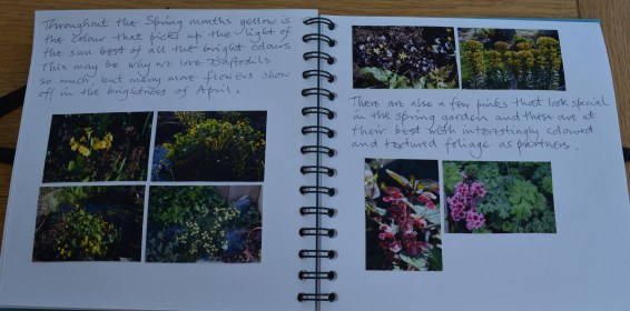 april journal-4