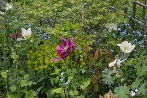 ngs garden-011