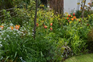 ngs garden-026