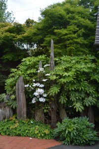 john2-19