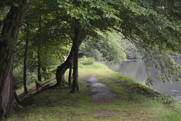 Edgbaston Pool, photograph by Malcolm Mollart, Winterbourne House and Garden, Digging for Dirt